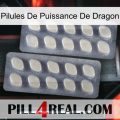 Dragon Power Pills 07